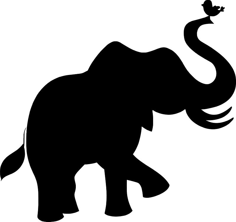 Elephant with bird