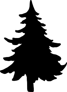 Evergreen tree