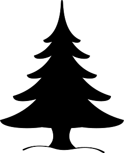 Evergreen Tree