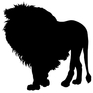 African Lion