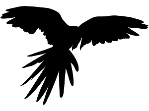 Parrot