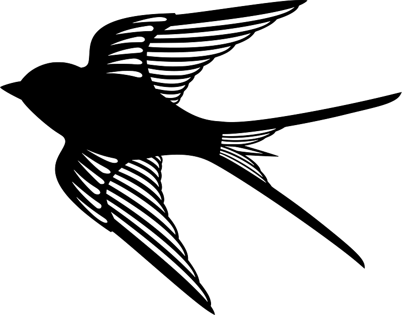 Swallow
