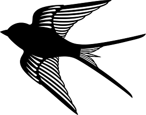 Swallow