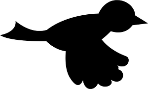 Bird flying