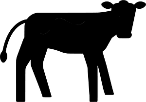 Calf