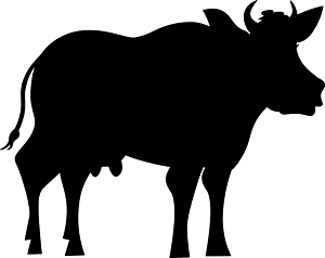 Cow