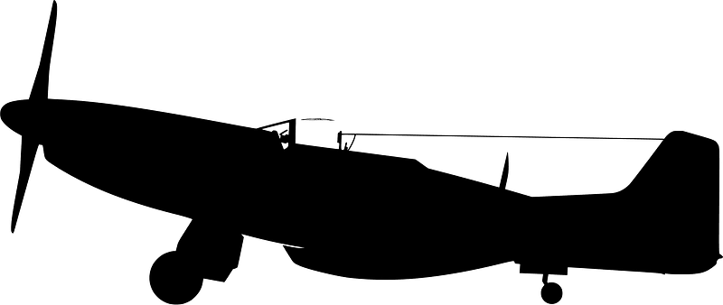 P 51 D 2