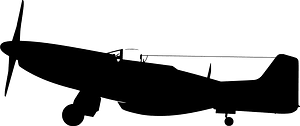 P 51 D 2