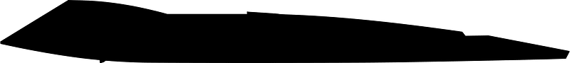 Orion