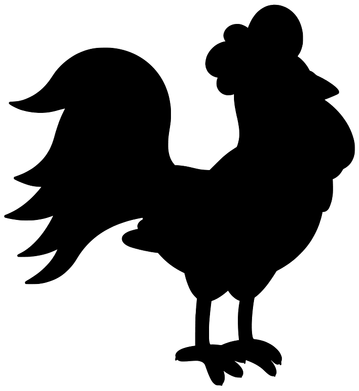 Rooster