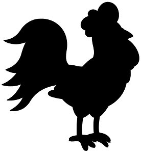 Rooster