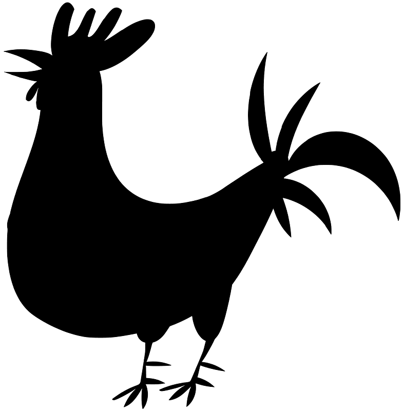 Rooster