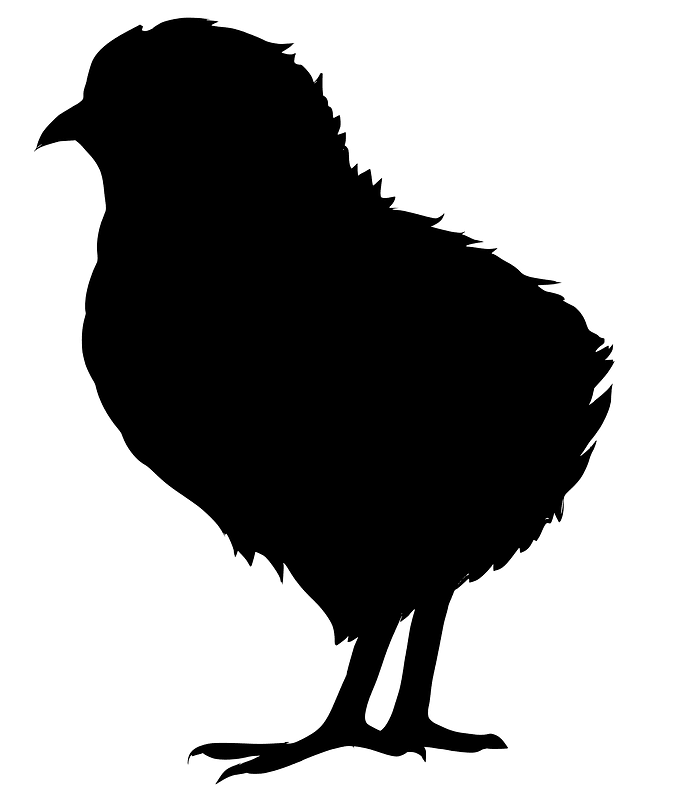 Chick