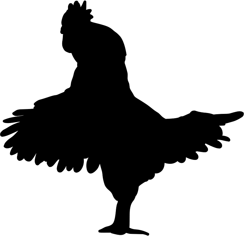 Chicken