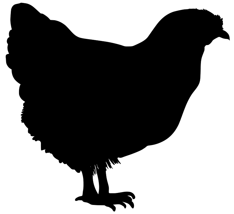 Chicken silhouette 02