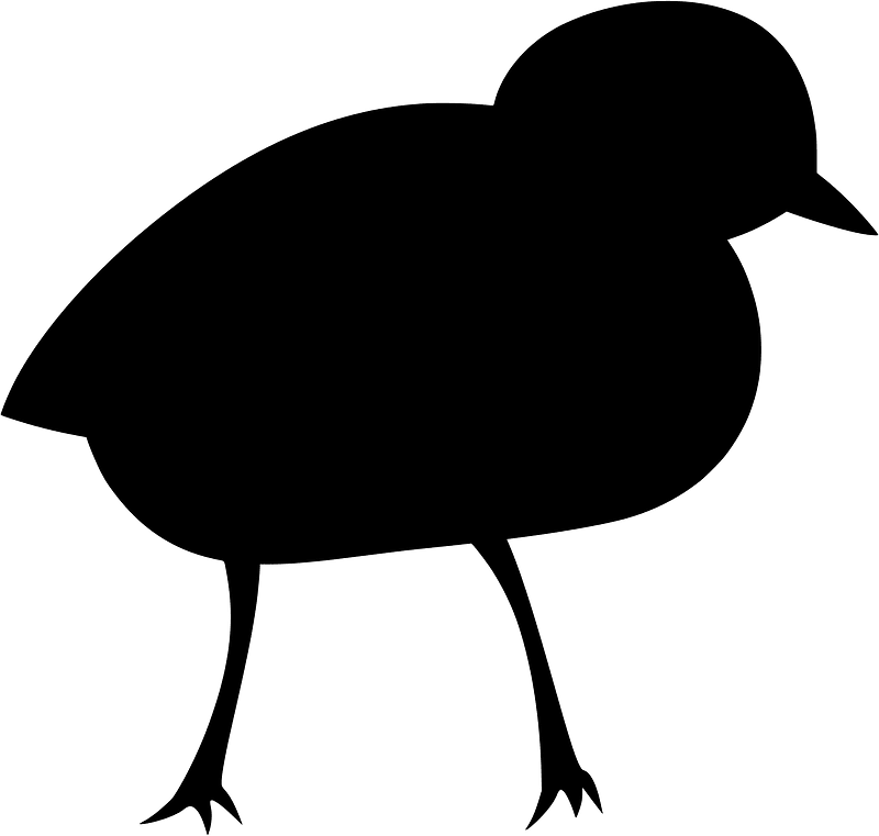 Chick