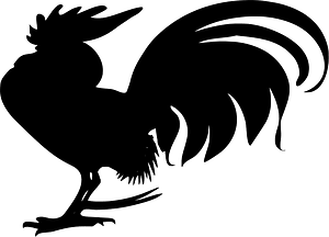 Rooster