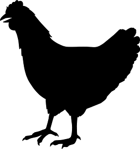 Hen