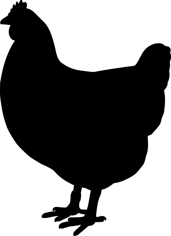 Hen