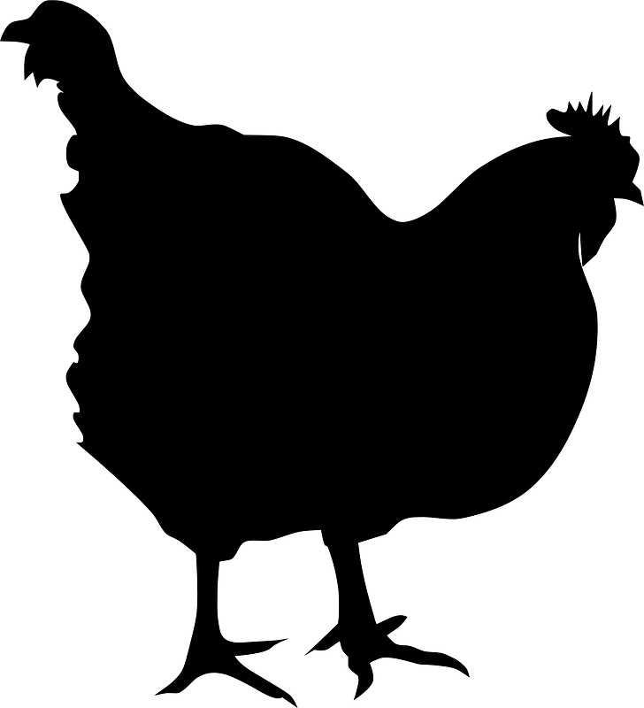 Hen