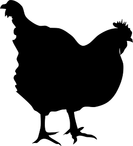 Hen