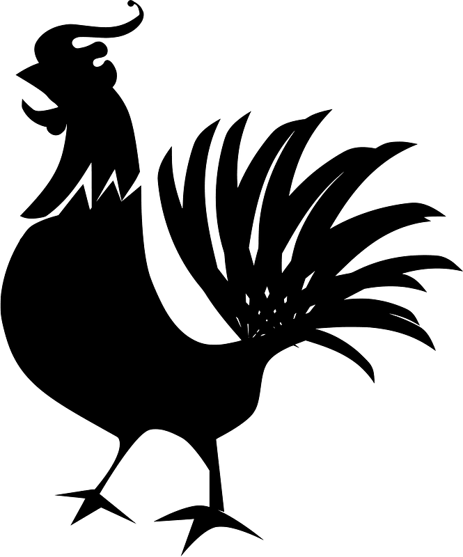 Rooster