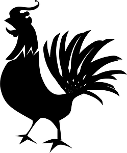Rooster