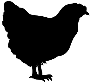 Hen