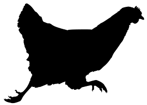 Running Hen