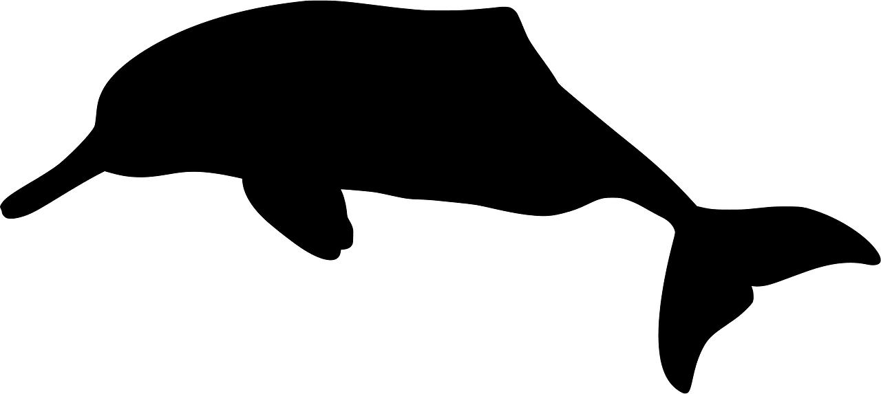 Baiji