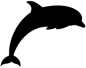 Dolphin