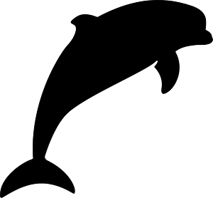Bottlenose dolphin