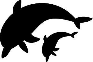 Lumba-lumba melompat