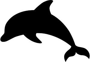 Dolphin