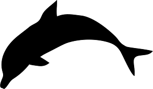 Dolphin