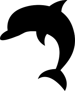 Dolphin animal
