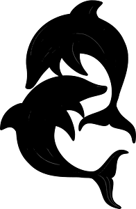 Two dolphins play