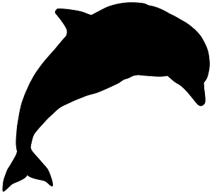 Dolphin