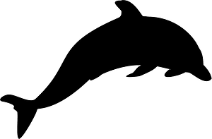 Dolphin