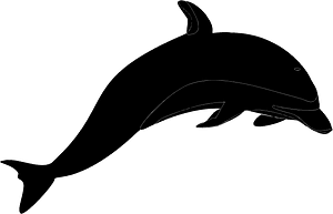 Dolphin