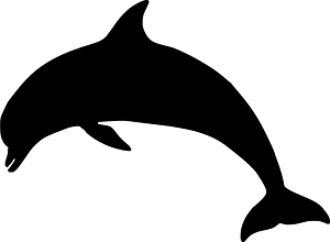 Dolphin