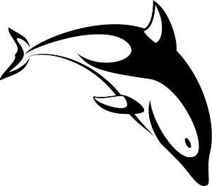Dolphin