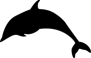 Dolphin