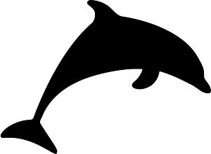 Dolphin