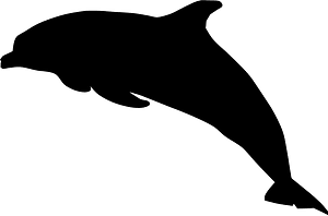 Dolphin
