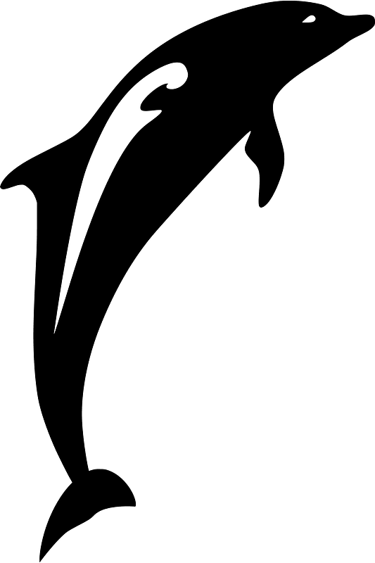 Dolphin