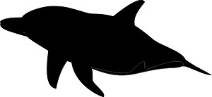 Dolphin