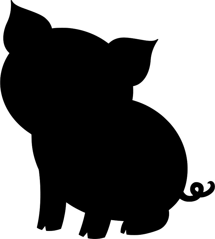 Pig