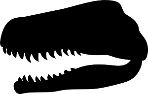 Dinosaur fossil
