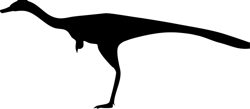 Xixianykus